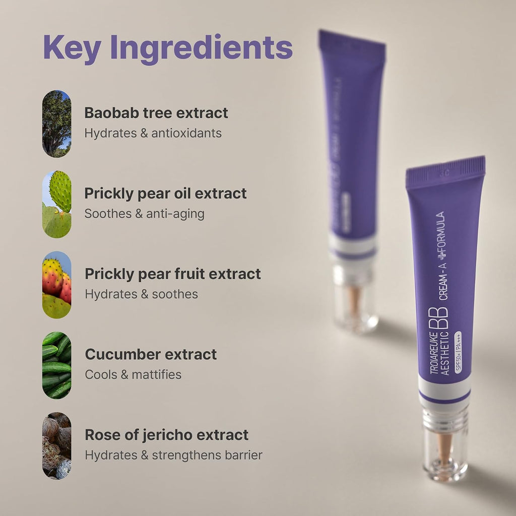 TROIAREUKE Aesthetic BB Cream A+ Formula for Oily Skin (21 Beige), K-Beauty