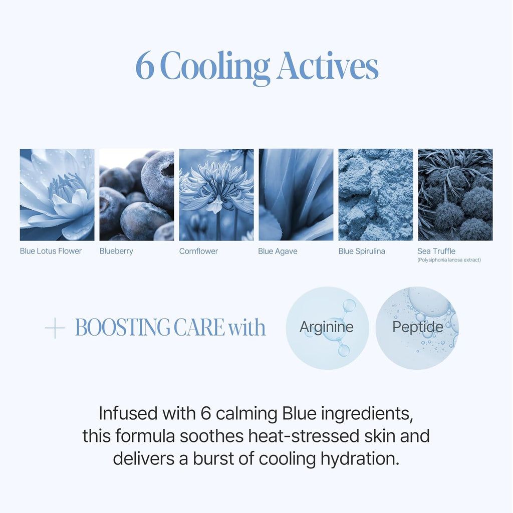 ESPOIR Be Velvet Sebum Cut Cooling Cushion, Mattifying & Pore-Blurring, Gel-to-Powder Formula, Sebum & Oil Control, Sweat-Proof, No White Cast, Summer Essentials